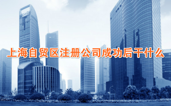 上海自贸区注册公司成功后干什么