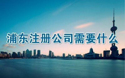 浦东注册公司需要什么