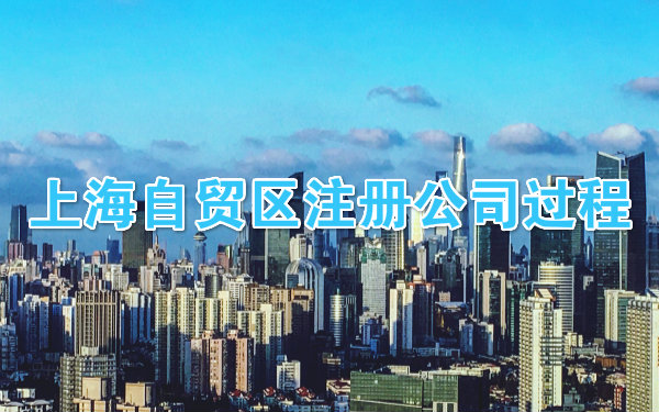 上海自贸区注册公司过程