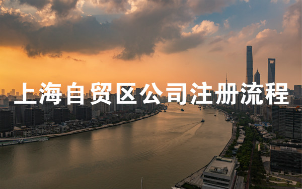 上海自贸区公司注册流程